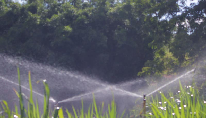 Como planejar um sistema de irrigação para sua cultura